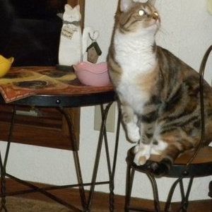 Meet your Posher, Juli